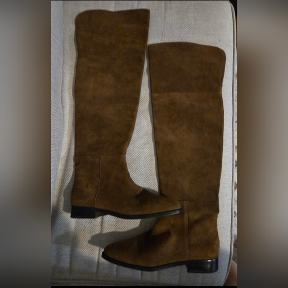 J. Crew Shoes - J. Crew Brown Knee-High Boots